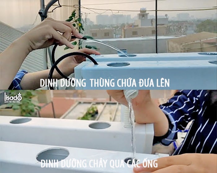 Lắp hệ thống thoát và thu hồi dinh dưỡng