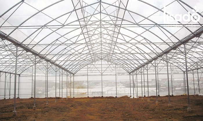 Khung nhà kính trồng dưa lưới