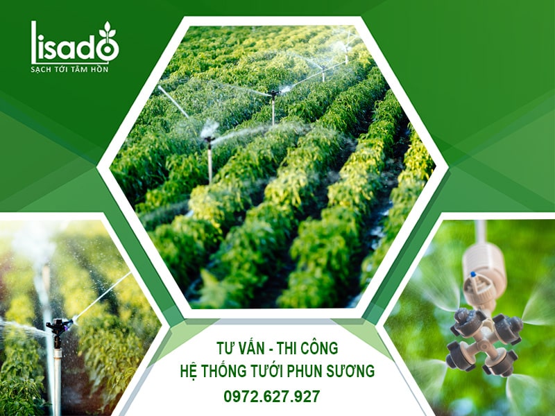 Tư vấn & thi công hệ thống tưới phun sương