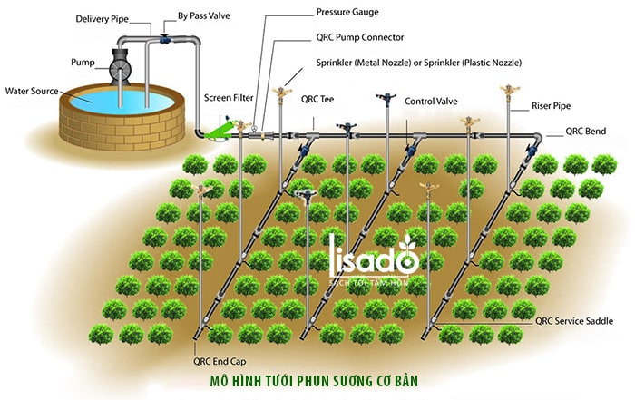 Lý do nên sử dụng hệ thống tưới phun sương tự động