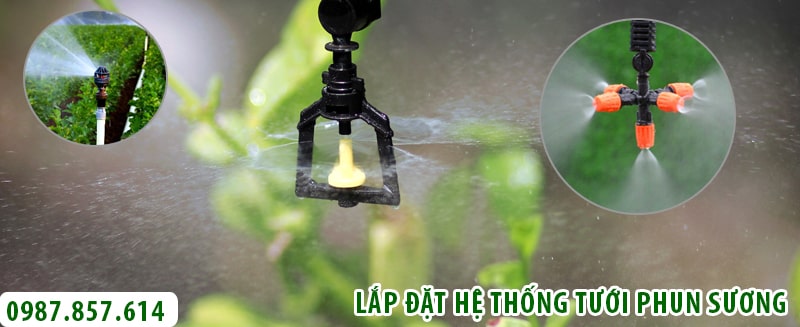 Lắp đặt hệ thống tưới phun sương tự động Lisado