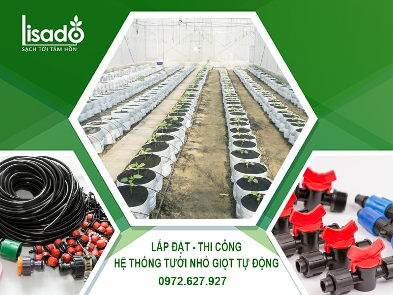 Lắp đặt - Thi công hệ thống tưới nhỏ giọt tự động Lisado