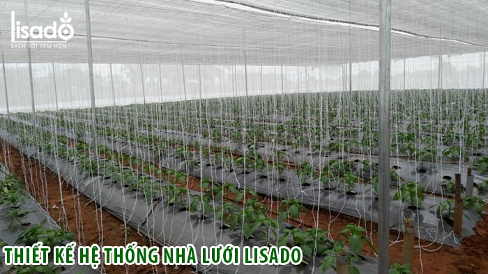 Những yêu cầu về đặc tính kỹ thuật của mô hình nhà lưới