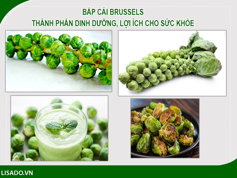 Bắp cải Brussels – Thành phần dinh dưỡng, lợi ích cho sức khỏe