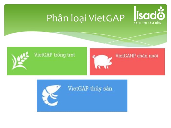 Phân loại các danh mục sản phẩm theo tiêu chuẩn Vietgap