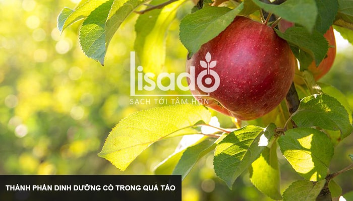 táo có chất gì