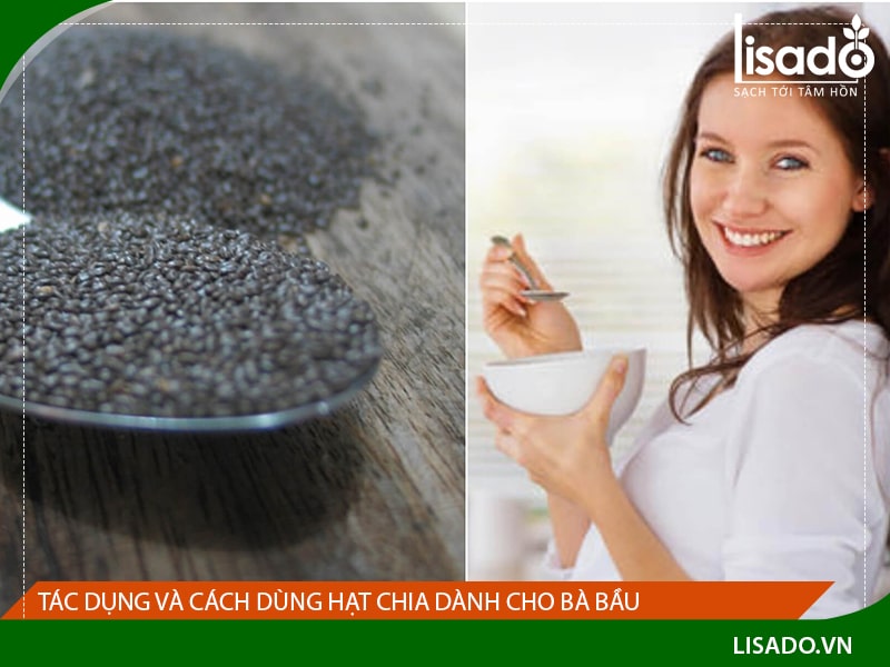 10 câu hỏi về tác dụng và cách dùng hạt Chia dành cho bà bầu