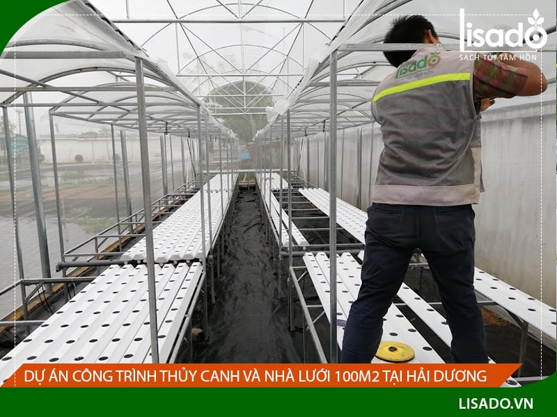 Dự án công trình thủy canh và nhà lưới 100m2 tại Hải Dương