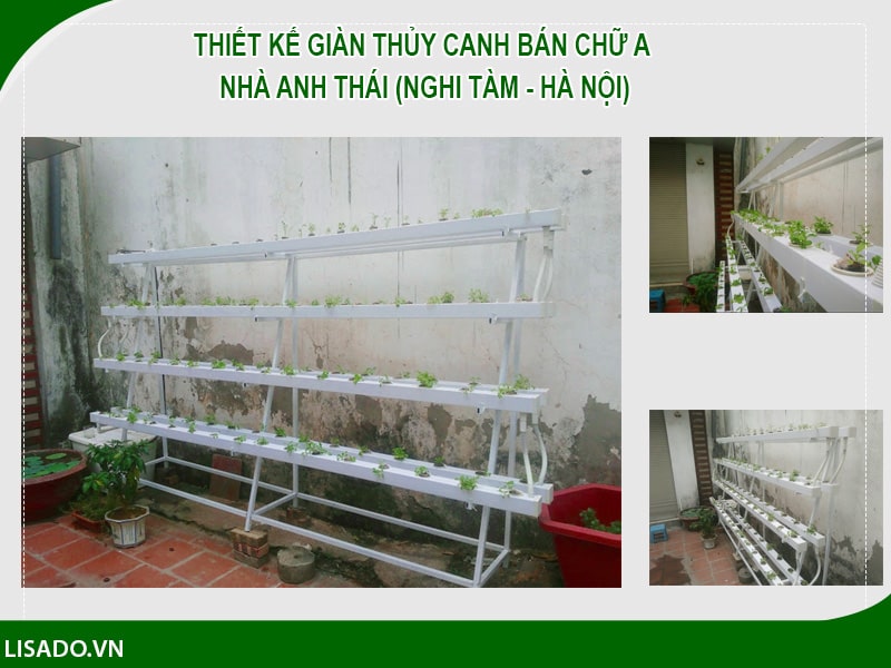 Thiết kế giàn thủy canh bán chữ A nhà Anh Thái (Nghi Tàm - Hà Nội)