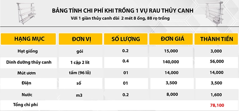 Chi phí trồng rau thủy canh tại nhà