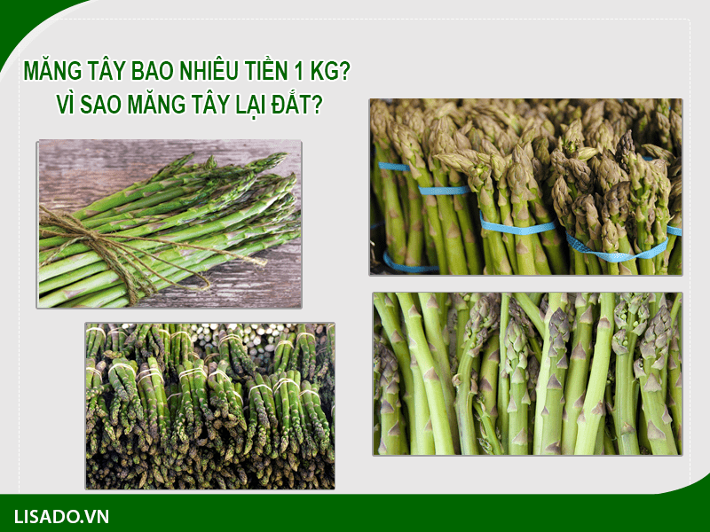 Măng tây bao nhiêu tiền 1 kg? Vì sao măng tây lại đắt?