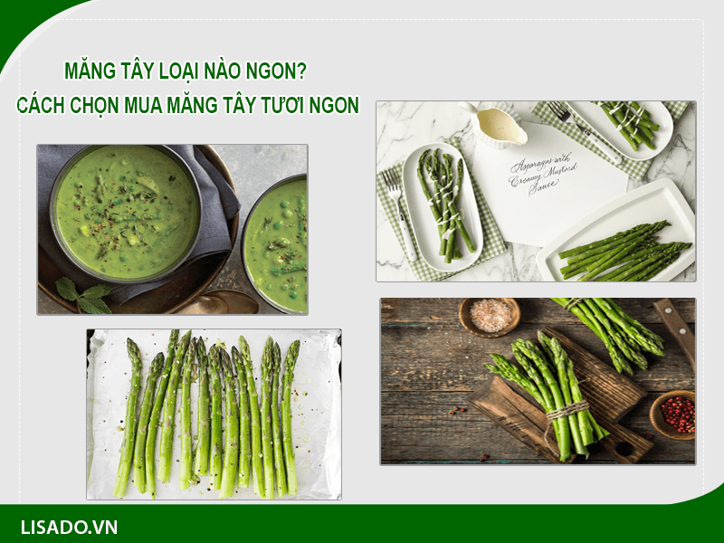 Măng tây loại nào ngon? Cách chọn mua măng tây tươi ngon