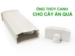 Ống thủy canh Hydroponics LSD 75x150 cho cây ăn quả