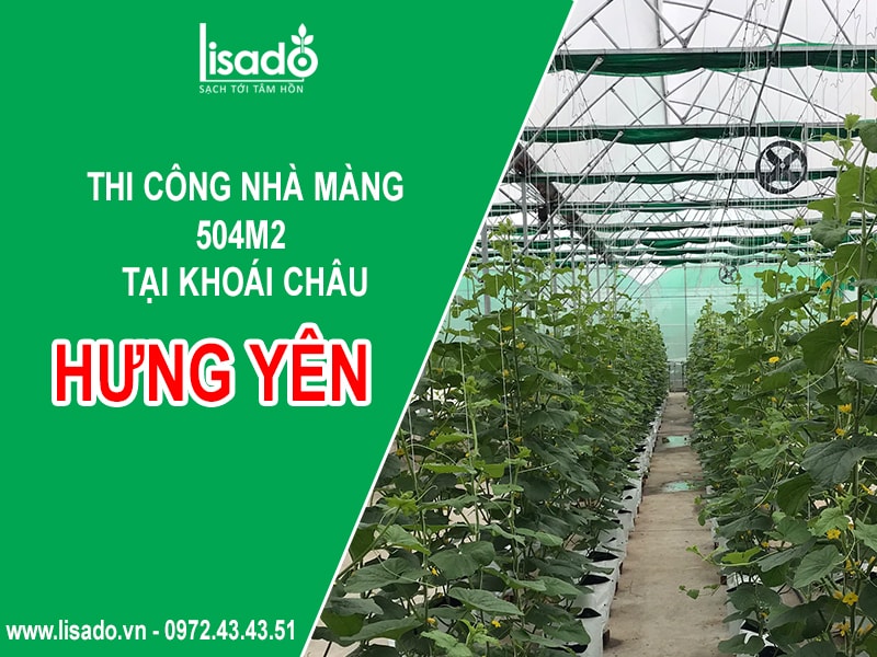 Dự án thi công nhà màng 504m2 tại Khoái Châu - Hưng Yên