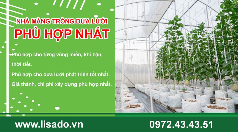 Tại sao lại nhà màng của Lisado PHÙ HỢP NHẤT?