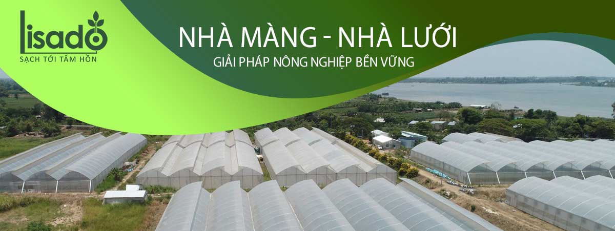 Thiết kế thi công nhà màng, nhà lưới