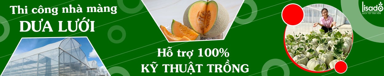 Thi công nhà màng trồng dưa lưới