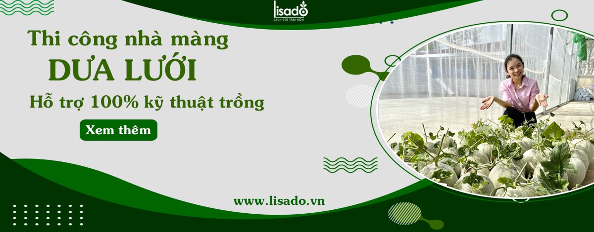 Thi công nhà màng dưa lưới