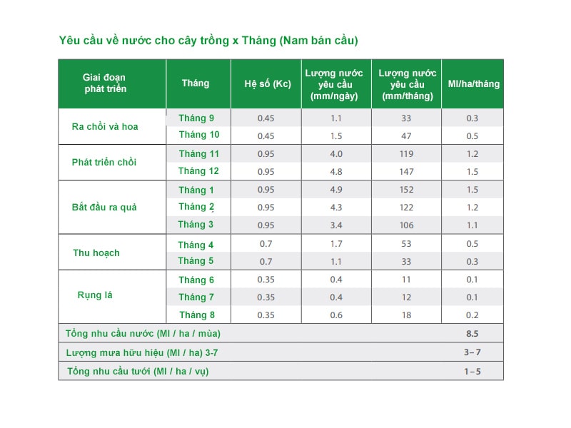 Thi công hệ thống tưới nhỏ giọt cho táo và lê