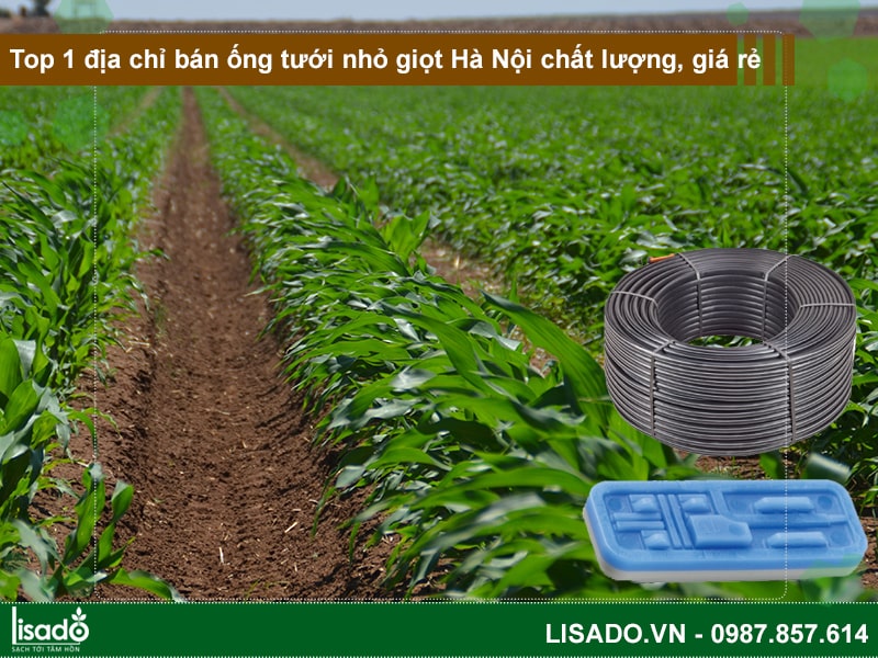 Top 1 địa chỉ bán ống tưới nhỏ giọt Hà Nội chất lượng, giá rẻ