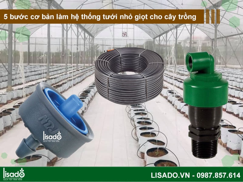 5 bước cơ bản làm hệ thống tưới nhỏ giọt cho cây trồng