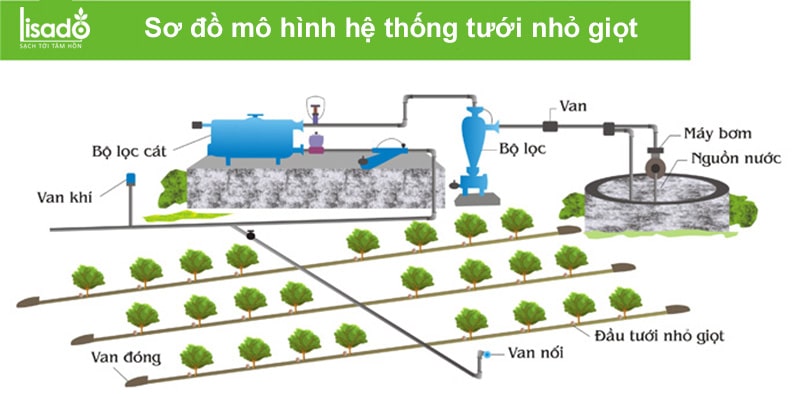 pha dung dịch tưới nhỏ giọt