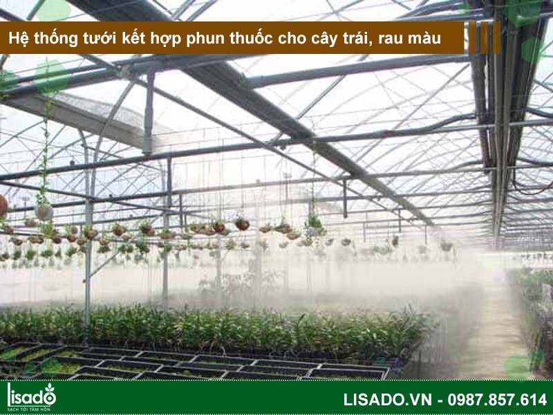 Hệ thống tưới kết hợp phun thuốc cho cây trái, rau màu