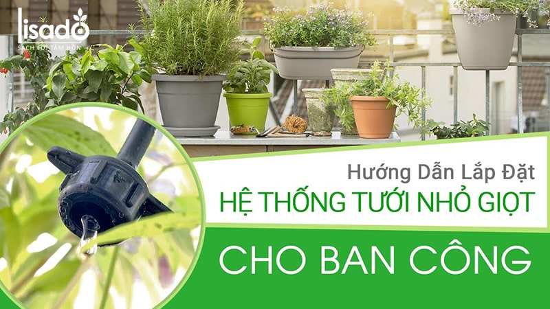 Tìm hiểu chi tiết từ A – Z về hệ thống tưới cây ban công