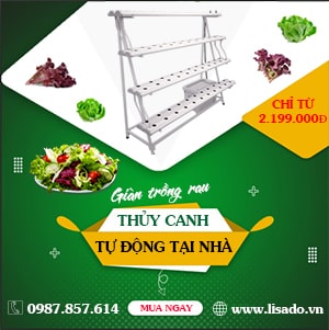 Giàn trồng rau thủy canh Lisado