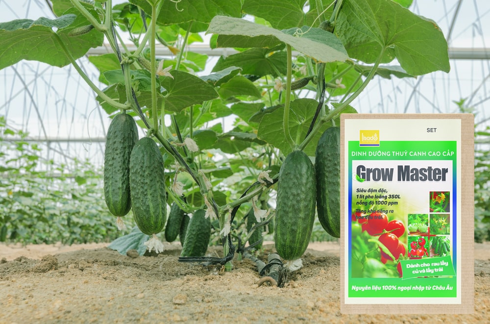 Dinh dưỡng thủy canh Grow Master cho rau củ, quả dạng bột