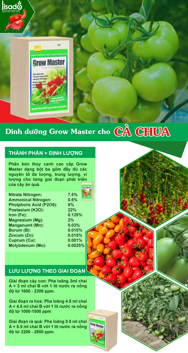 Dinh dưỡng thủy canh Grow Master cho cà chua dạng bột