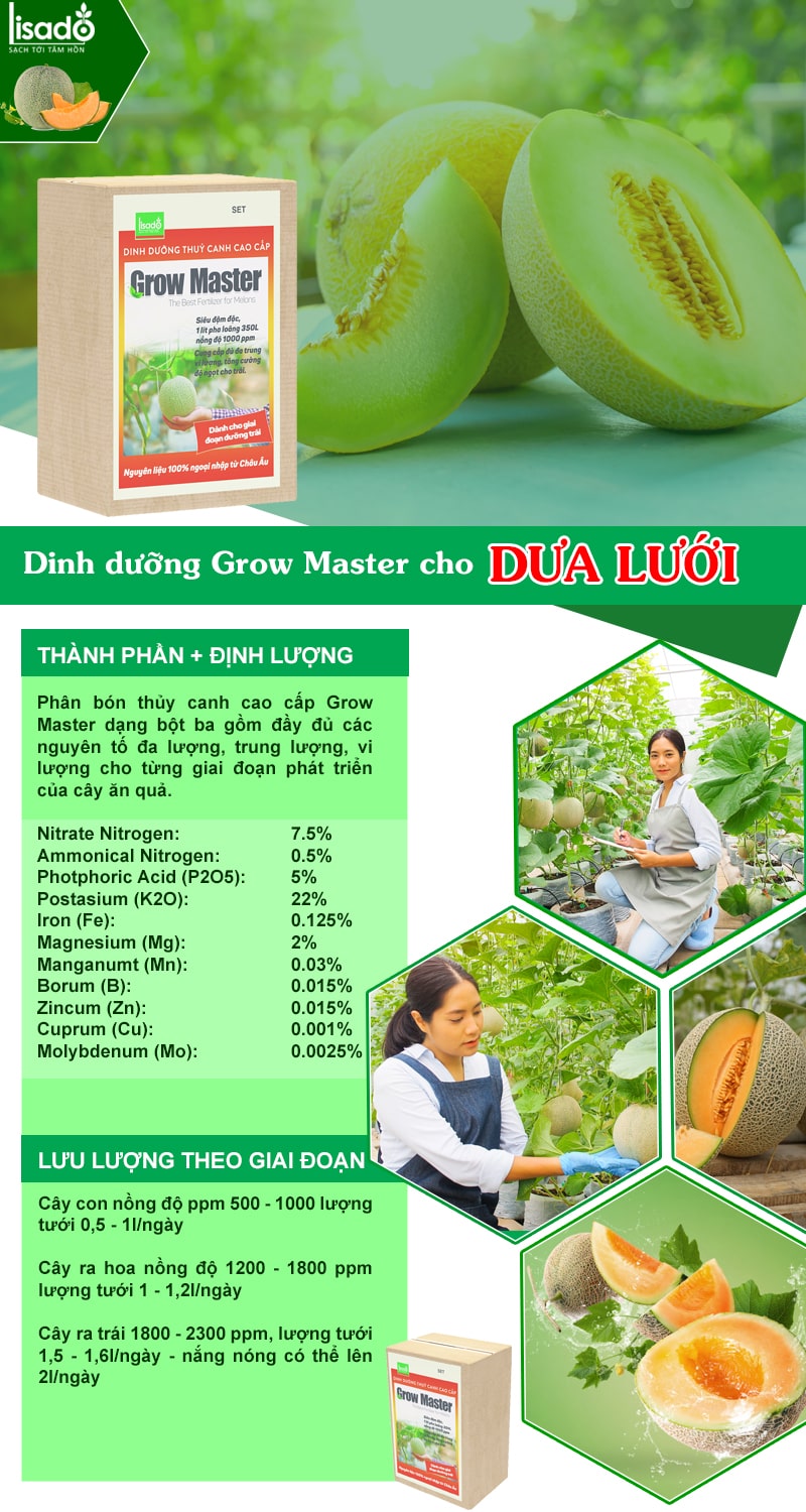 Dinh dưỡng thủy canh Grow Master cho dưa lưới dạng bột