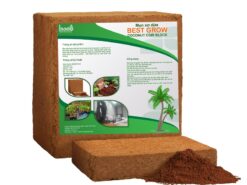 Mụn xơ dừa ép bánh Best Grow 300x300x150 mm đã qua xử lý, tiêu chuẩn xuất khẩu