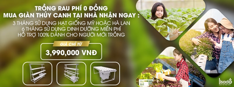 Ưu đãi dành cho khách hàng khi mua giàn trồng rau thủy canh