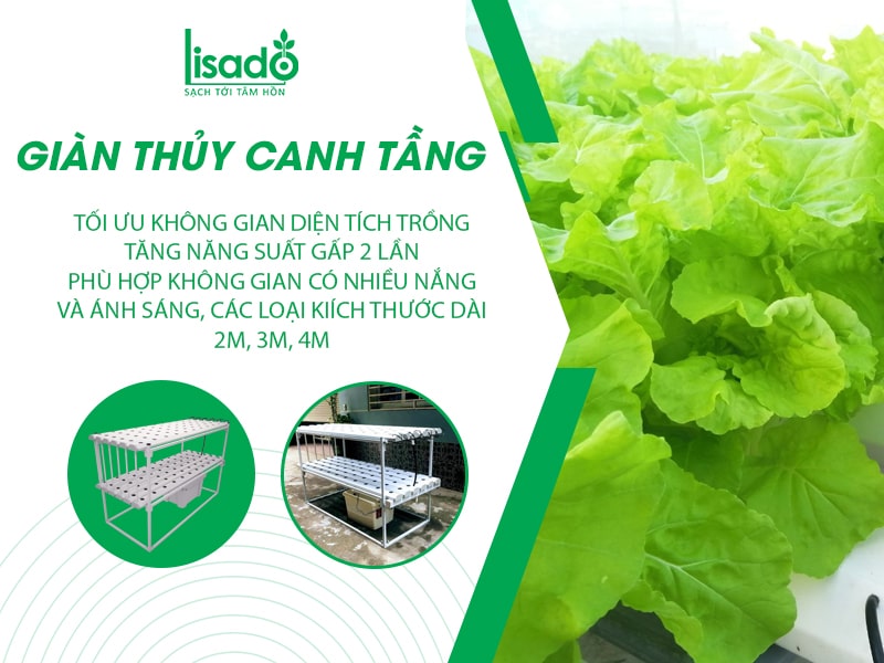 Giàn trồng rau thuỷ canh kiểu 2 tầng