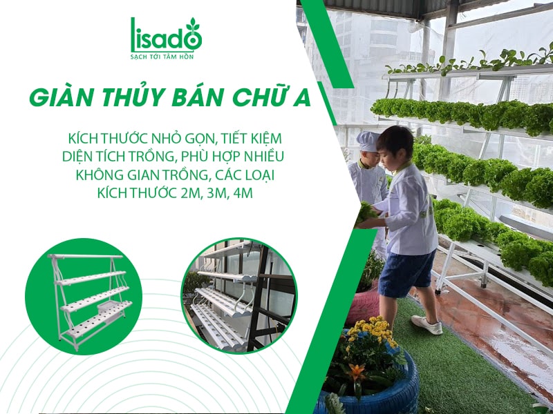 Giàn trồng rau thuỷ canh bán chữ A