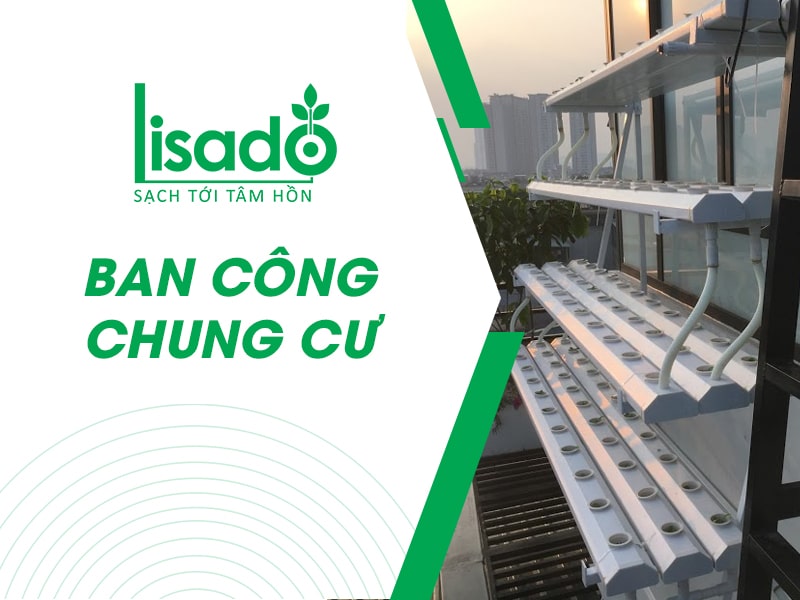 Ban công chung cư lắp đặt giàn thủy canh nào phù hợp?