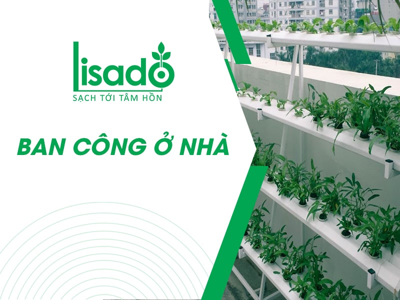 Ban công nhà ở phù hợp với giàn thủy canh nào?