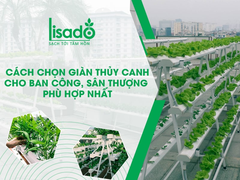 Cách chọn giàn thuỷ canh cho ban công, sân thượng phù hợp nhất