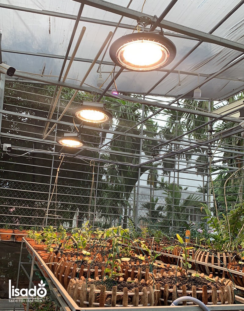 Đèn trồng hoa lan LED UFO330 150W/WBU - Rạng Đông