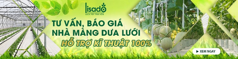 Tư vấn, báo giá nhà màng trồng dưa lưới