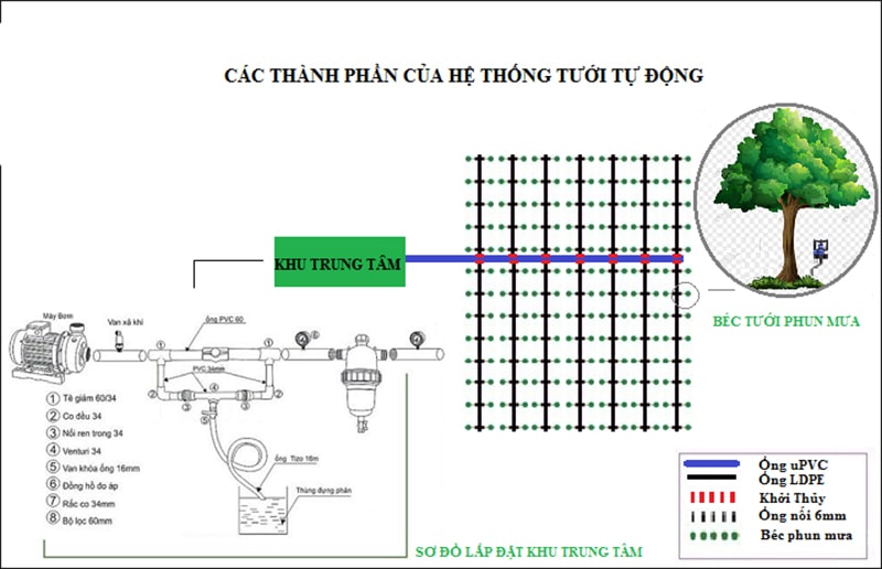 Cách trồng và chăm sóc nhãn theo phương pháp tưới phun mưa