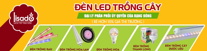 Đèn LED trồng cây trong nhà