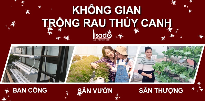 trồng rau thủy canh không cần dung dịch dinh dưỡng