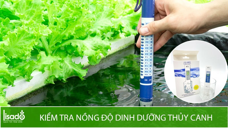 Kiểm tra nồng độ dung dịch trong thùng