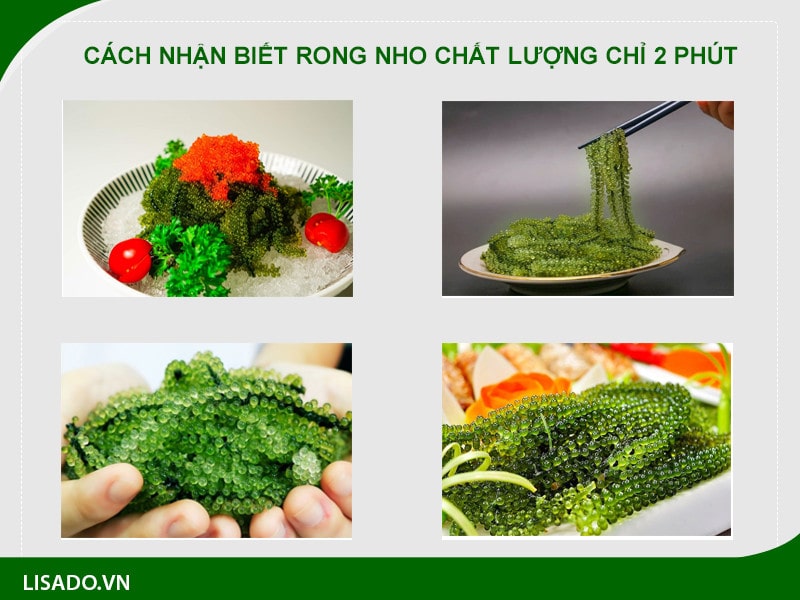 Cách nhận biết rong nho chất lượng chỉ 2 Phút