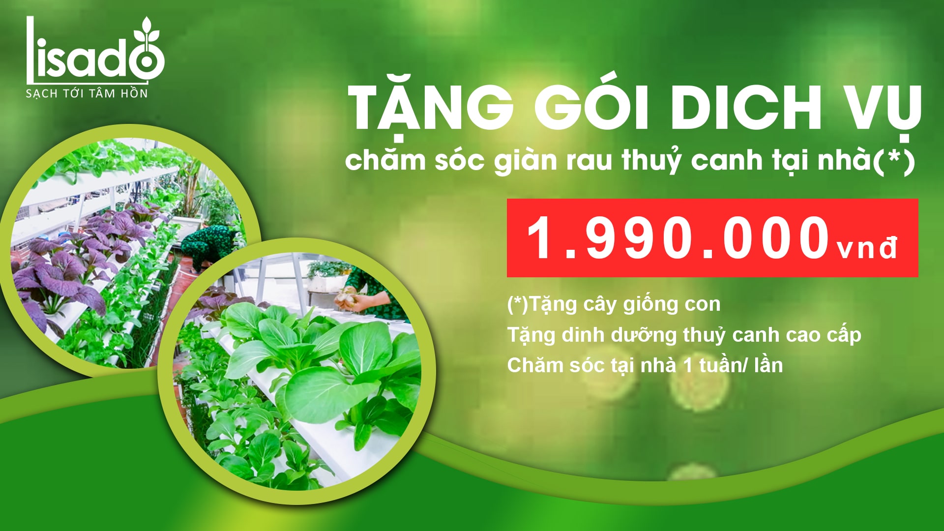 Giàn trồng rau thủy canh Lisado