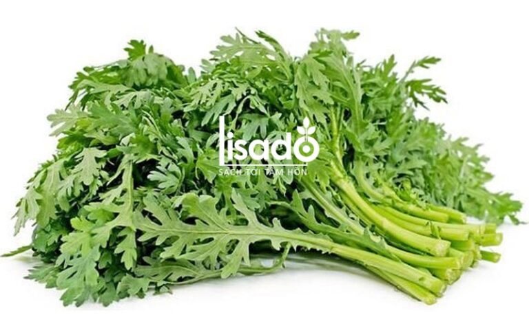 Cách trồng rau cải cúc thủy canh tiết kiệm chi phí