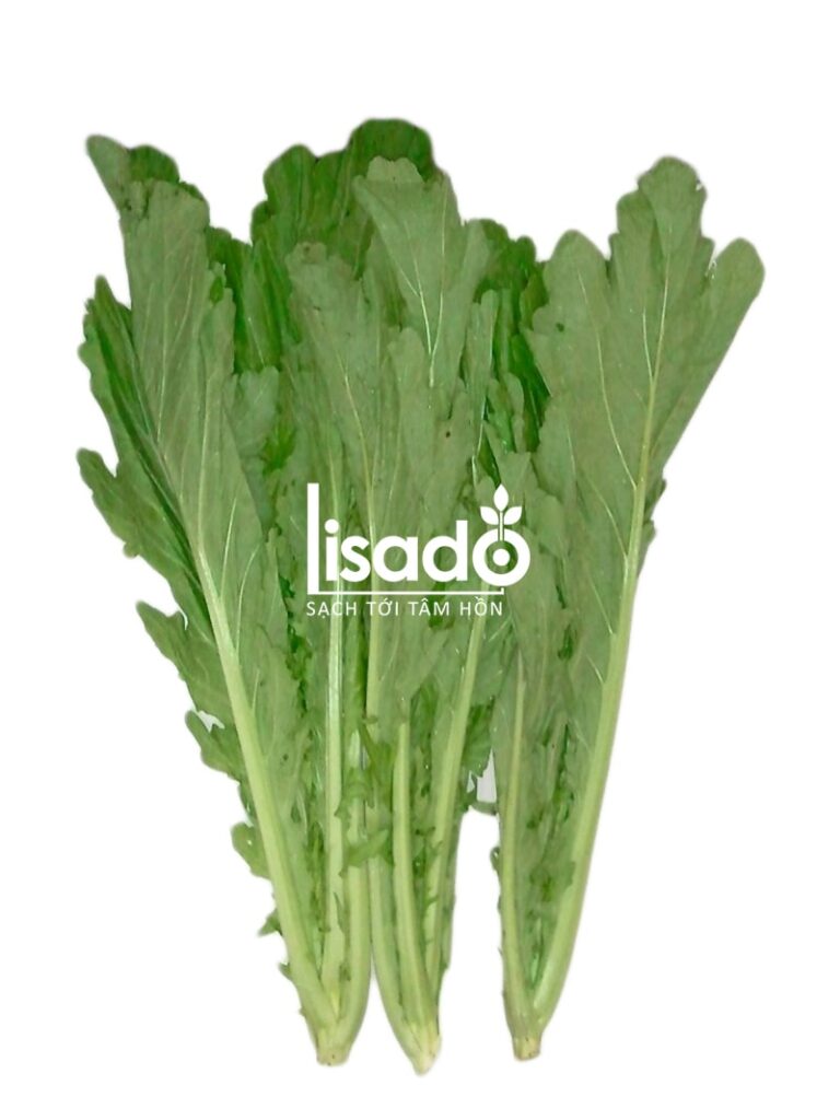 Cách trồng rau cải mèo thủy canh đơn giản năm 2025