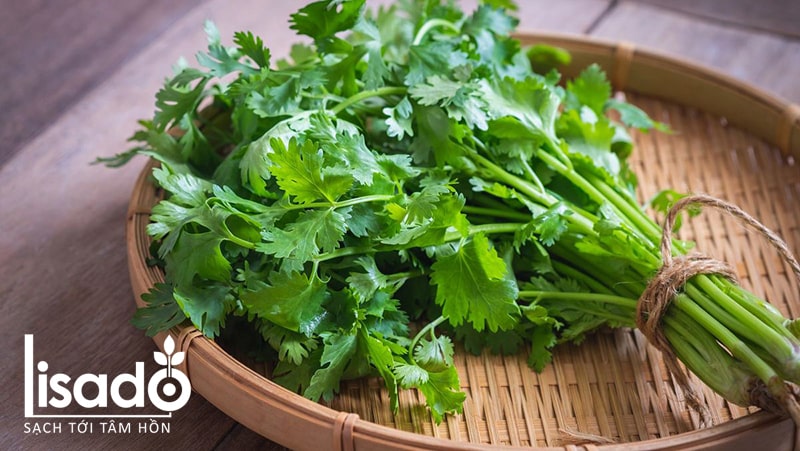 Rau mùi là loại rau gia vị rất phổ biến đối với người Việt Nam